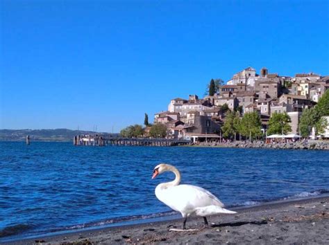 trans bracciano|Trains To & From Bracciano